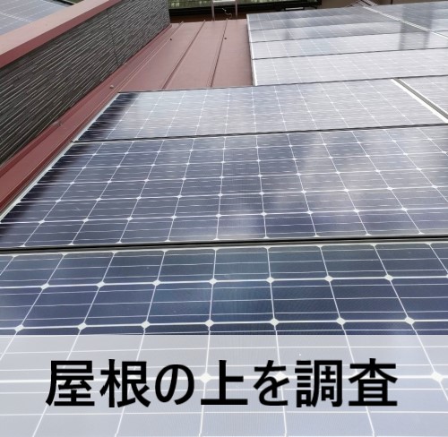 ソーラーパネルに鳥の巣　鳩　屋根調査　熊本